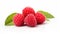 Radiant Raspberry: A Vivid Delight on White