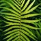A radiant, sentient fern with fronds that resonate with the music of the universe3