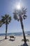 Radiant sun palms and seaside bench