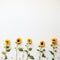 Radiant Sunflower Beauty Open Copy Potential