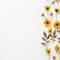 Radiant Sunflower Border Serene White