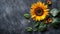 Radiant Sunflower with Lush Leaves