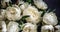 Radiant White Peonies in Full Bloom: Closeup of an Opulent Bouquet. Beautiful flower for any holiday. AI generative