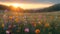 Radiant Wildflower Meadow in Early Summer: Golden Hour Glow