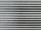 Radiator grille of a car