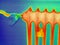 Radiator thermography