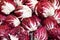 Radicchio heads