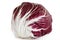 Radicchio on white background