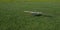 Radio controlled airplane in the grass