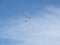 Radio controlled model airplane spiraling towards ground on blue sky. Aviation, airplanes, aerobatics and competition concepts