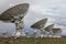 Radio telescopes VLA array