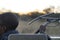 Radio tracking big cats at sunrise in Okonjima Nature Reserve, Namibia