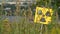 Radioactivity Sign