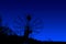 radiotelescopes silhouettes under dark blue sky