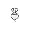 Radish, beet root line icon