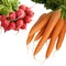 radish, carrots