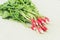 Radish on a concrete background/washedup garden radish on a white background, selective focus