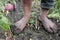 Radish farmer boy with muddy feet