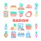 radish food organic vegetable icons set vector