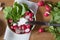 Radish with fresh herbs and sour cream. Vitamin salad with parsley and green onions. Healthy food. Top view.