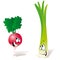 Radish and green onion