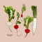 Radish, hand draw sketch vector