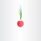 radish icon vector design symbol