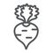 Radish line icon, fruits and vegetables, beetroot sign, vector graphics, a linear pattern on a white background.