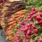 Radish and orange carrots piled. Organic local food street market. NYC. USA