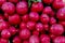 Radish for sale in a brazilian street market.