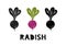 Radish, silhouette icons set with lettering. Imitation of stamp, print with scuffs