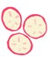 Radish sliced breakfast food set elements hand drawn doodle minimal style pastel color illustration