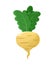 Radish Vegetable Icon, Colorful Template Banner