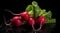 radishes on a black background with water drops