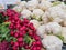 Radishes and cauliflower at Corvallis Farmers Market