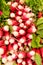 Radishes on display at the farmer\'s market