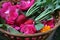 Radishes and Rose Flowers Harvest in a Basket. Country Aesthetic.