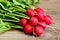 Radishes on wood