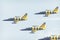 RADOM, POLAND - AUGUST 26, 2017 :Aerobatic group formation