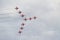 RAF Red Arrow Display