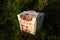 Raffaello sweets box in summer grass in warm light