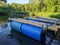 A raft made out of blue barrels and wooden log poles