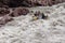 Rafting, brave and courageous people conquer water obstacles on a mountain river on rafts.