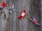 Rag dolls hanging on a rope