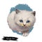 Ragamuffin kitten digital art illustration. Watercolor realistic portrait of furry cat face. Muzzle of kitty similar to