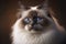 Ragdoll cat with blue eyes, white cat, pet redgall cat, generative ai