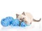 Ragdoll kitten with balls of blue yarn