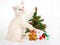 Ragdoll kitten with christmas tree and toys