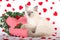 Ragdoll kitten with Valentine props