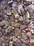 Ragged stones in the wall in the prehistoric Incas fertility temple in Chucuito, Puno Peru